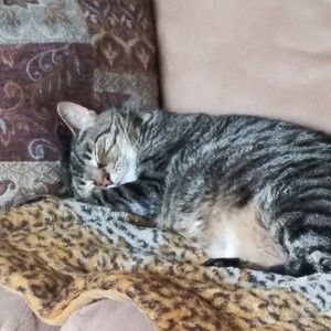 Meet your Posher, Candace